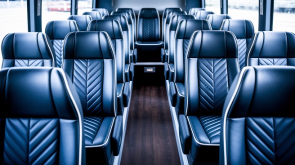 18 passenger minibus rental cathedral city